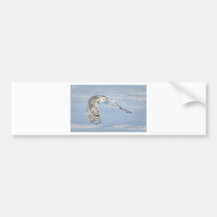 Owl Animal Bird Winter Snow Frozen Ice Cold Bumper Sticker