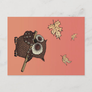 Owl Animals Art | An Owl On Old Paper Holiday Postcard