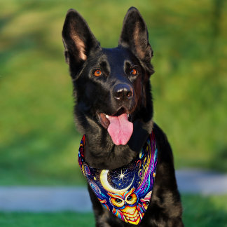 Owl Art Pet Bandana Collar