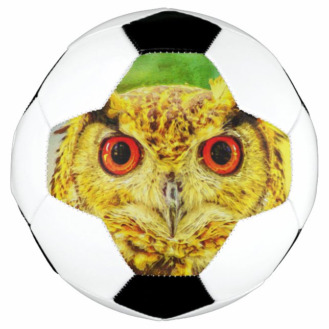 Owl Art Soccer Ball (Front)