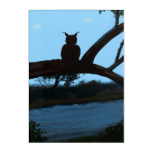 Owl Artwork