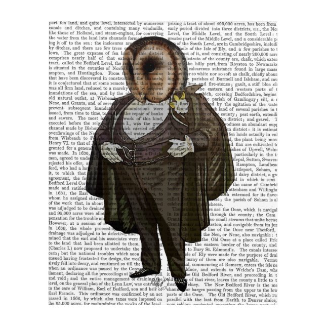 Owl At the Opera Acrylic Print (Front)