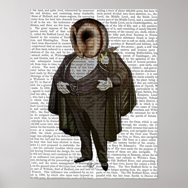 Owl At the Opera Poster (Front)