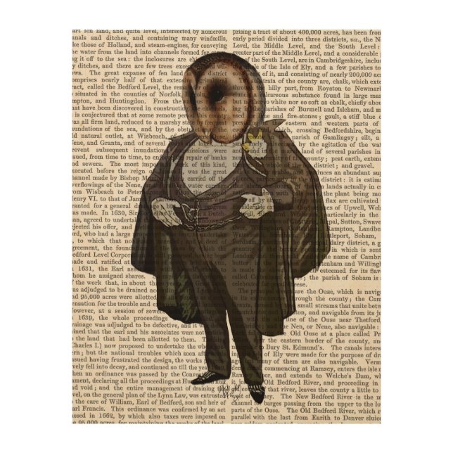 Owl At the Opera Wood Wall Decor (Front)