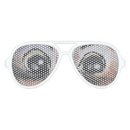 Owl Aviator Sunglasses Big Eyes