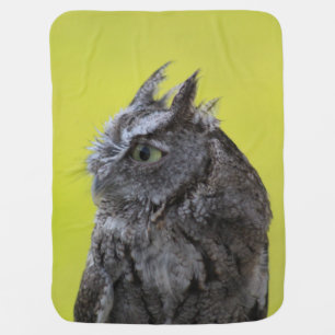 Owl baby blanket