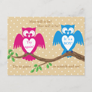 Owl baby shower gender reveal invitation postcard