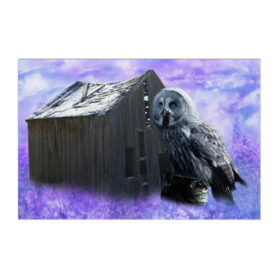 Owl Barn Shed Acrylic Print