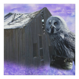 Owl Barn Shed Faux Canvas Print