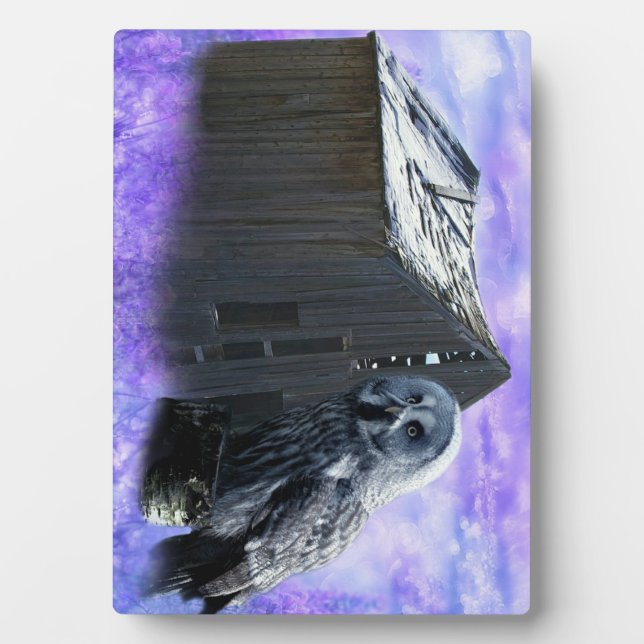 Owl Barn Shed Plaque (Front)