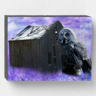 Owl Barn Shed Wooden Box Sign