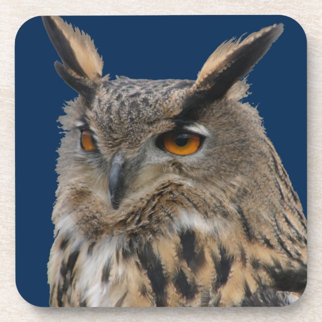 Owl Beverage Coaster (Front)