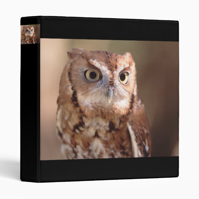owl binder (Front/Spine)