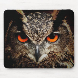 owl, bird, animal mouse pad
