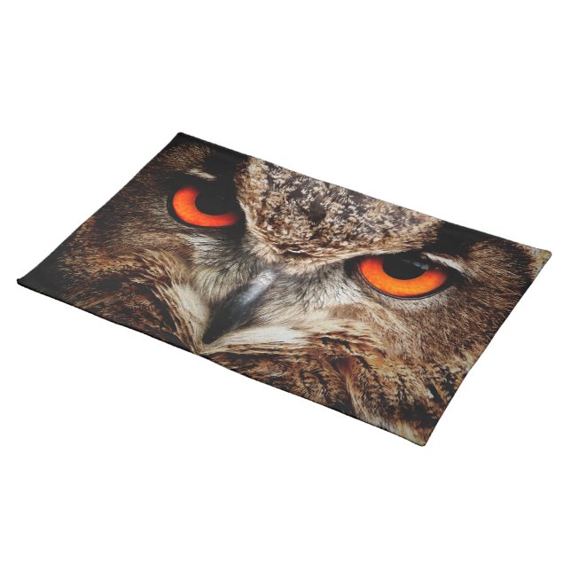 owl bird eyes eagle cloth placemat (On Table)