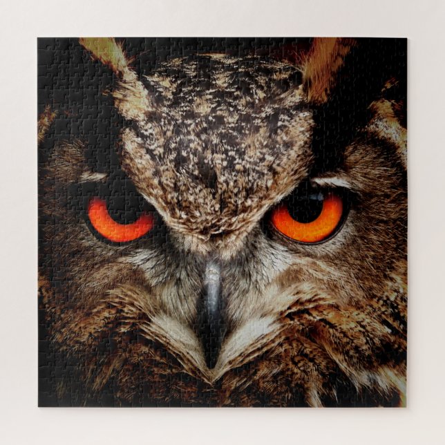 owl bird eyes eagle jigsaw puzzle (Vertical)