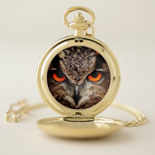 owl bird eyes eagle pocket watch