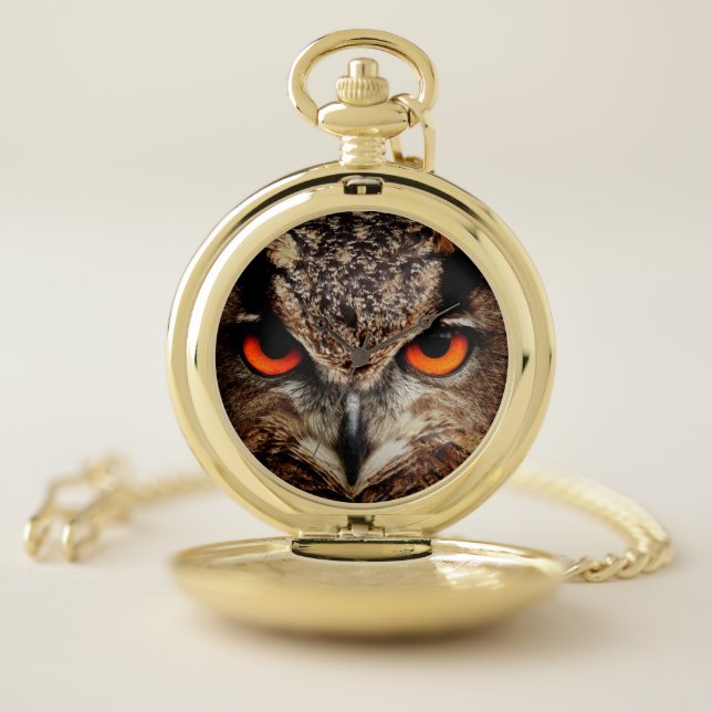 owl bird eyes eagle pocket watch (Inside)