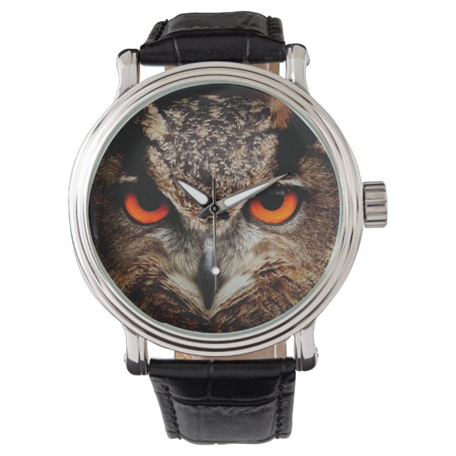 owl bird eyes eagle watch (Front)