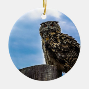 Owl Bird Feathers Animal Nature Destiny Peace Love Ceramic Ornament