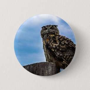 Owl Bird Feathers Animal Nature Destiny Peace Love Pinback Button