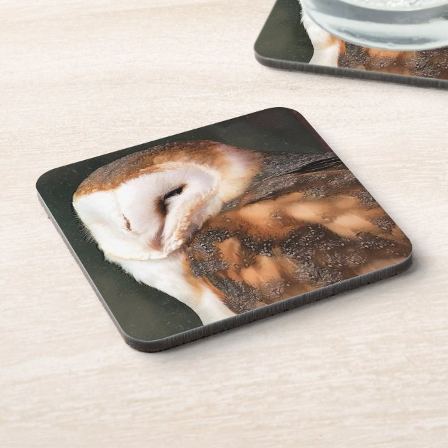 OWL BIRD OF PREY BEVERAGE COASTER (Left Side)