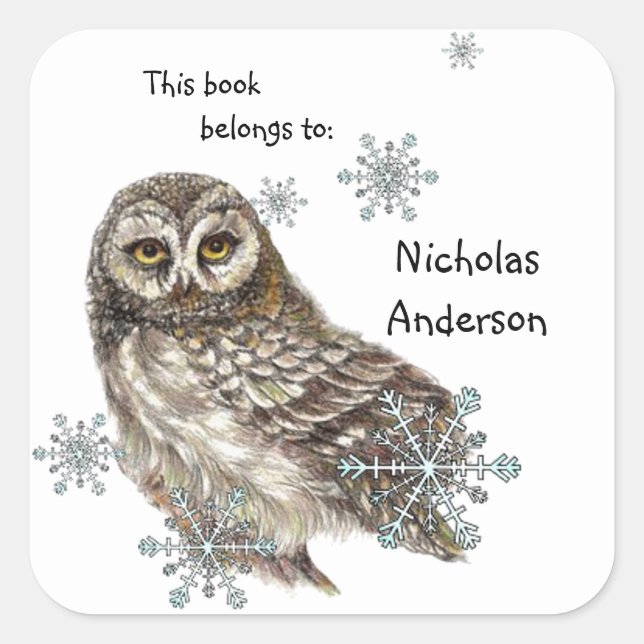 Owl Bird Snowflakes Winter Bookplate art (Front)