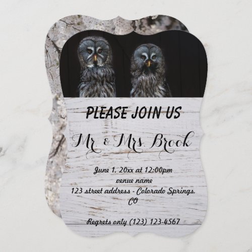 Owl Birds Love Branches Destiny Destinys Invitation