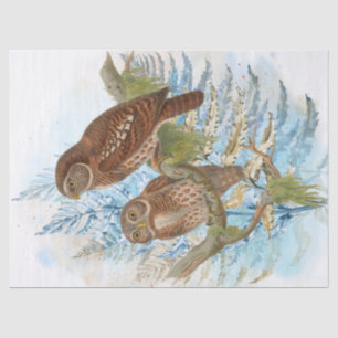 Owl Birds Watercolor Art Tissue Paper