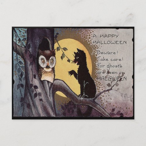 Owl Black Cat Full Moon Tree Night Postcard