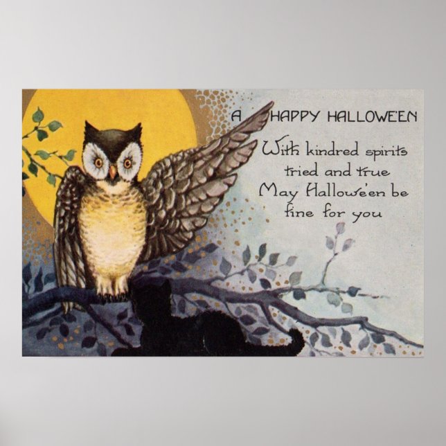Owl Black Cat Full Moon Tree Night Poster (Front)