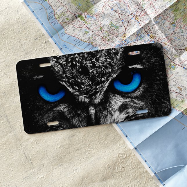 Owl blue eyes license plate (In Situ)