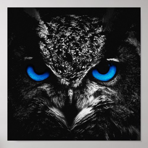 Owl blue eyes poster
