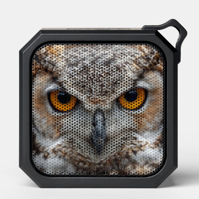 Owl  bluetooth speaker (Front)