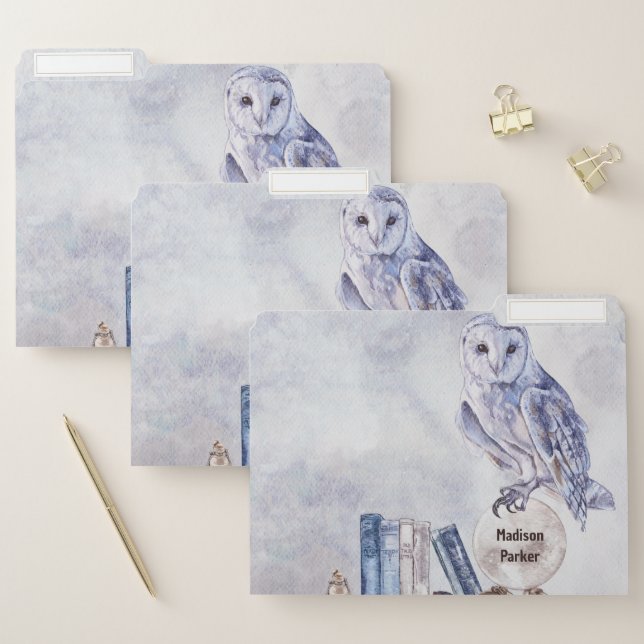Owl & Books File Folder (Set)