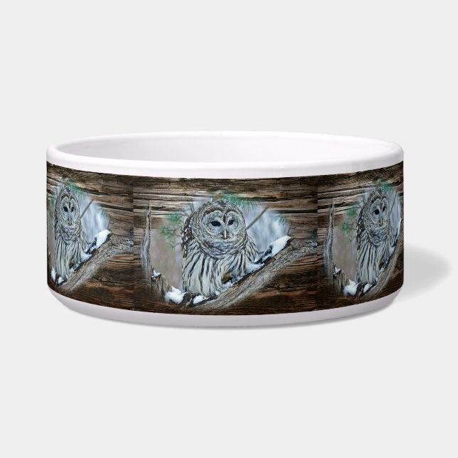 Owl Bowl (Front)