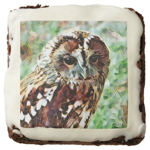 OWL BROWNIE