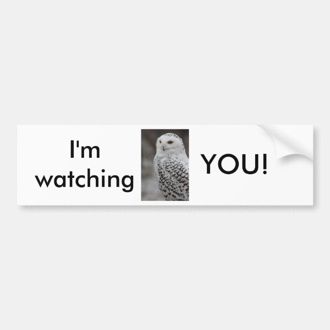 Owl Bumper Sticker (Front)