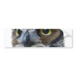 Owl Bumper Sticker