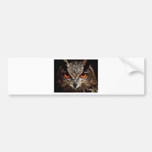 Owl Bumper Sticker