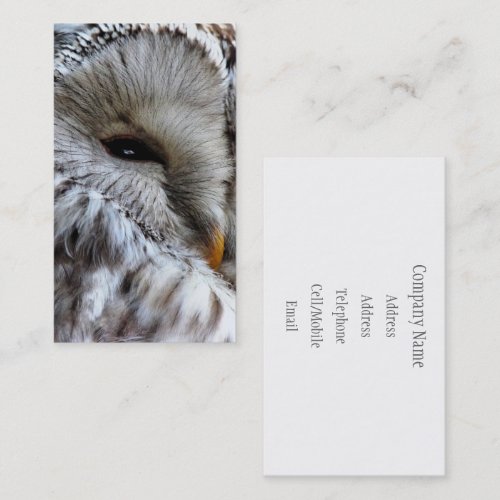 OWLS BUSINESS CARD