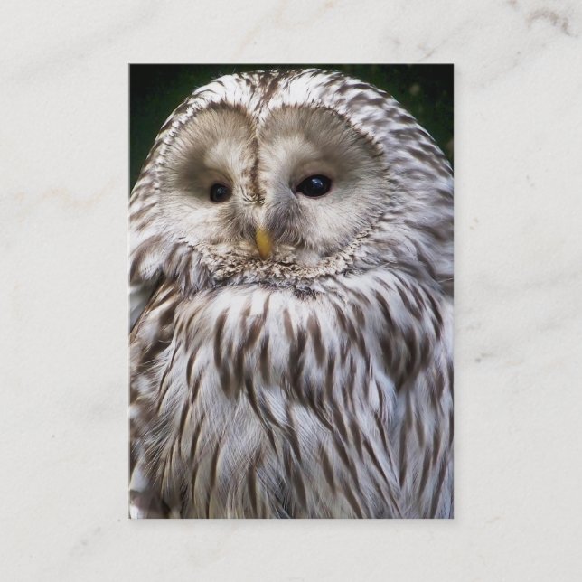 OWL BUSINESS CARD (Front)