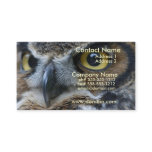 Owl Business Card