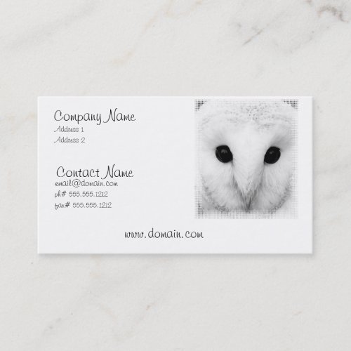 Owl Business Card
