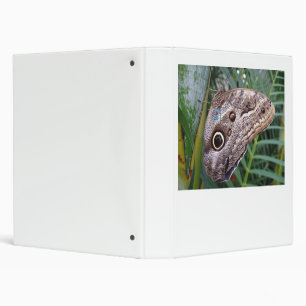 Owl Butterfly Binder
