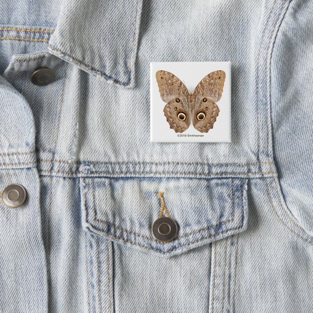 Owl Butterfly Button (In Situ)