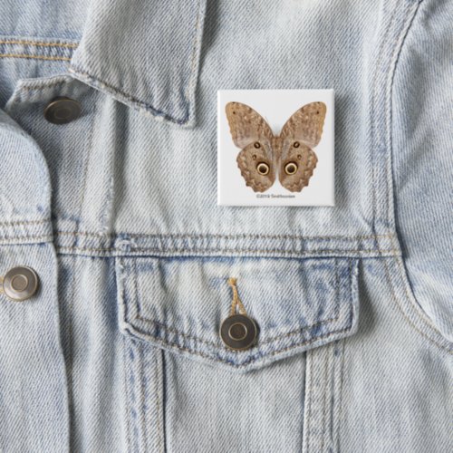 Owl Butterfly Button