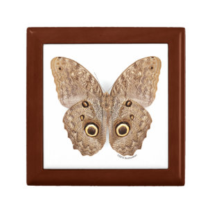 Owl Butterfly Gift Box