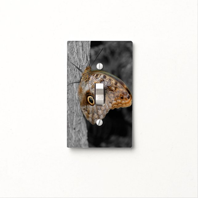 Owl Butterfly In Black And White Light Switch Cover (In Situ)