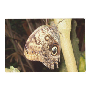 Owl Butterfly Placemat